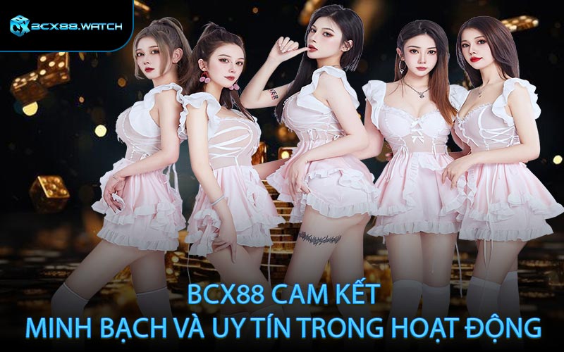 BCX88 cam kết minh bạch và uy tín trong hoạt động