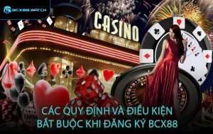 Các quy định và điều kiện bắt buộc khi đăng ký BCX88