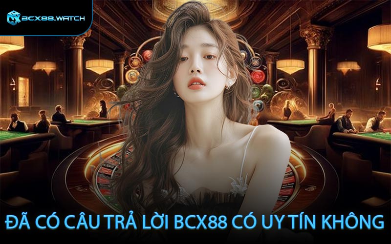 đã có câu trả lời BCX88 có uy tín không