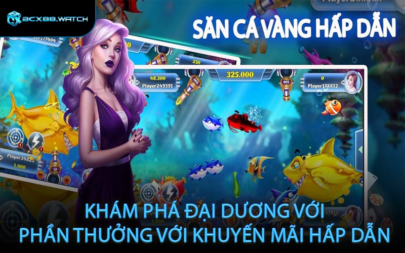 Khám phá đại dương với phần thưởng với khuyến mãi hấp dẫn