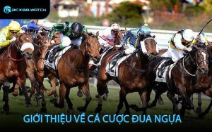 Giới thiệu về cá cược đua ngựa