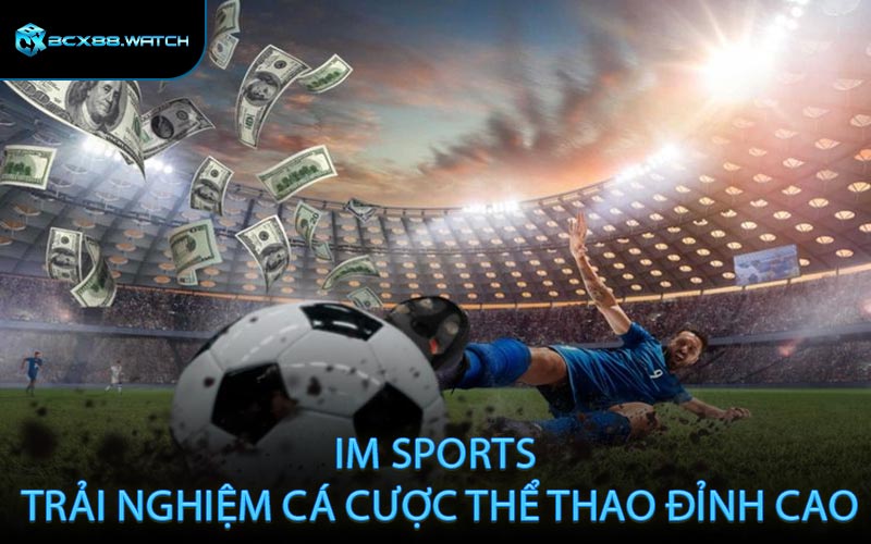IM Sports - Trải nghiệm cá cược thể thao đỉnh cao