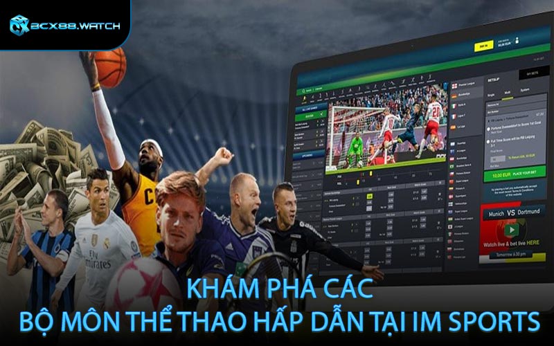 Khám phá các bộ môn thể thao hấp dẫn tại IM Sports