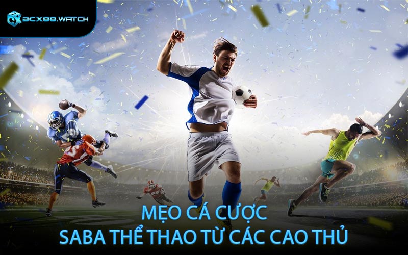 Mẹo cá cược SABA thể thao từ các cao thủ
