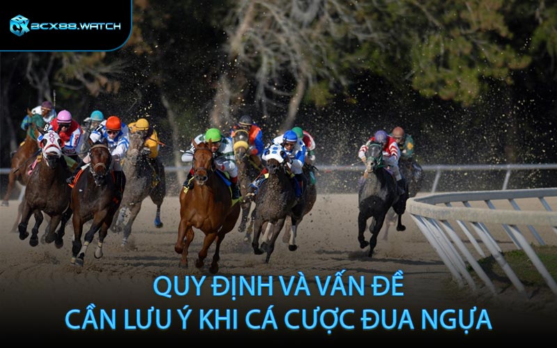 Quy định và vấn đề cần lưu ý khi cá cược đua ngựa