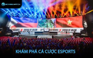 Esports event with teams and audience
