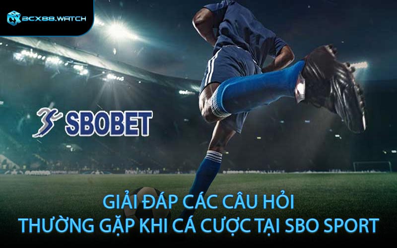 Giải Đáp Các Câu Hỏi Thường Gặp Khi Cá Cược Tại SBO Sport