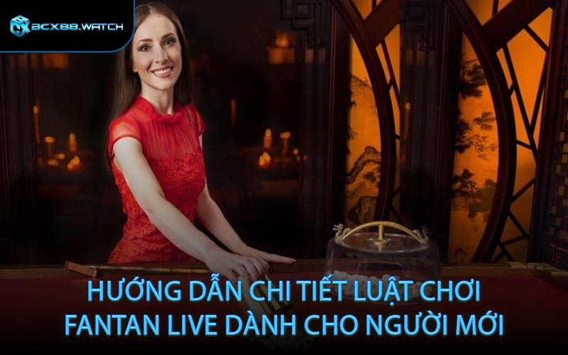 Hướng Dẫn Chi Tiết Luật Chơi Fantan Live Dành Cho Người Mới